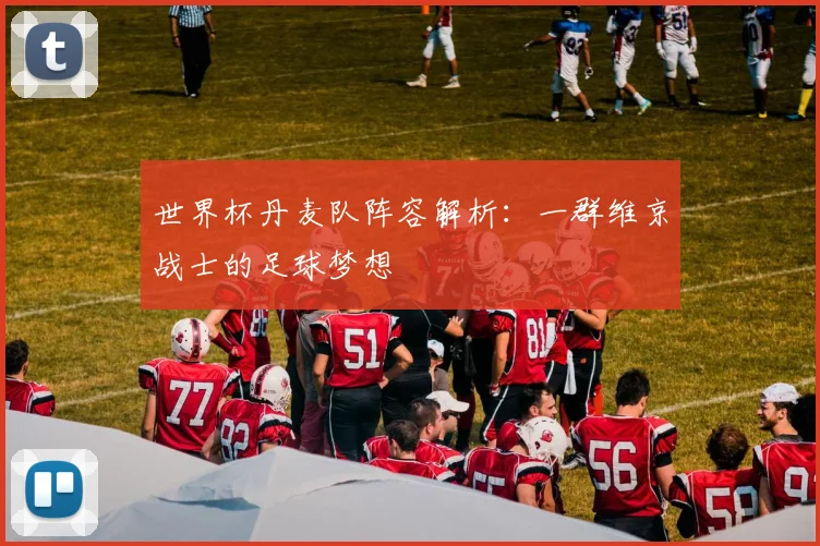 世界杯丹麦队阵容解析：一群维京战士的足球梦想